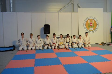 Образование и Карьера показательные выступления