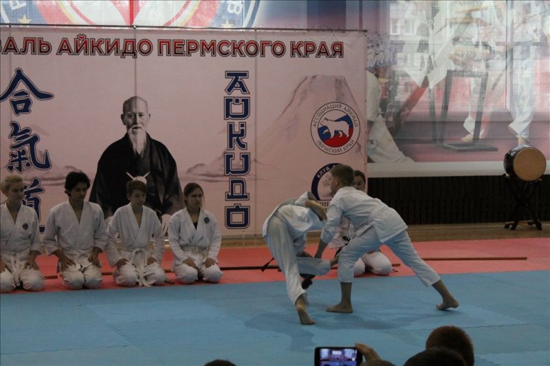 Фестиваль Айкидо Пермского Края