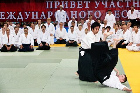 Международный фестиваль Айкидо