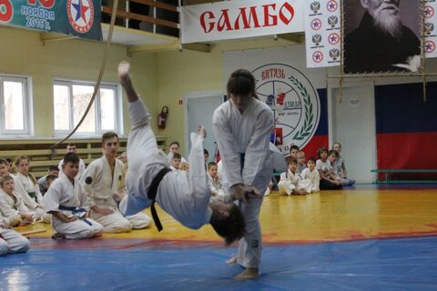 VI Международный семинар по Айкидо
