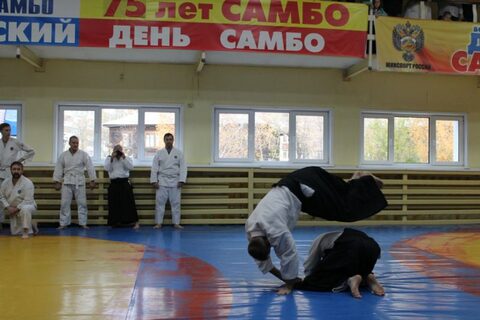 VI Международный семинар по Айкидо