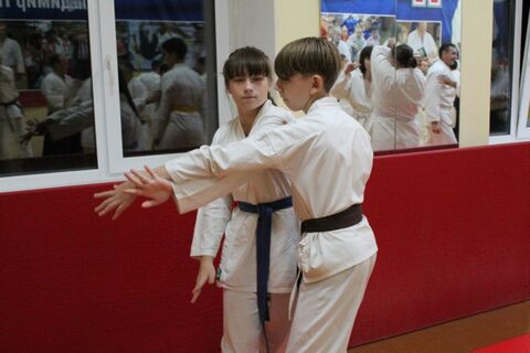 VI Международный семинар по Айкидо