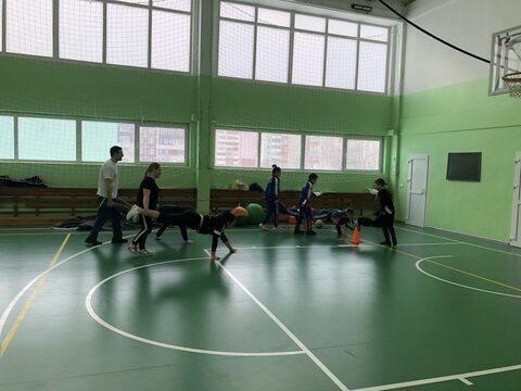 Весёлые старты