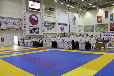 VIII Всероссийские игры Боевых Искусств